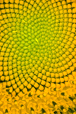 Patterns